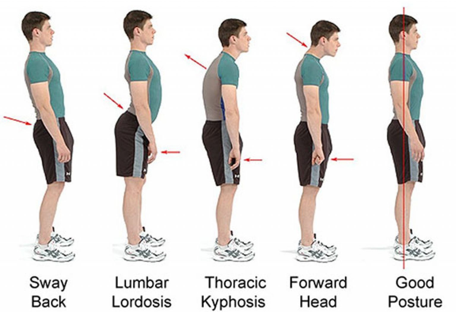 Top 10 Ways to Increase Height Quickly in 1 Week