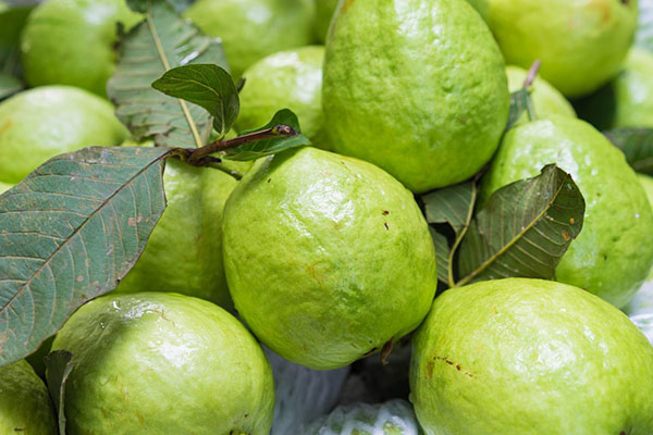 Guavas-top-20-foods-that-are-high-in-vitamin-c-for-height-increase