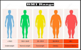All You Need To Know About BMI